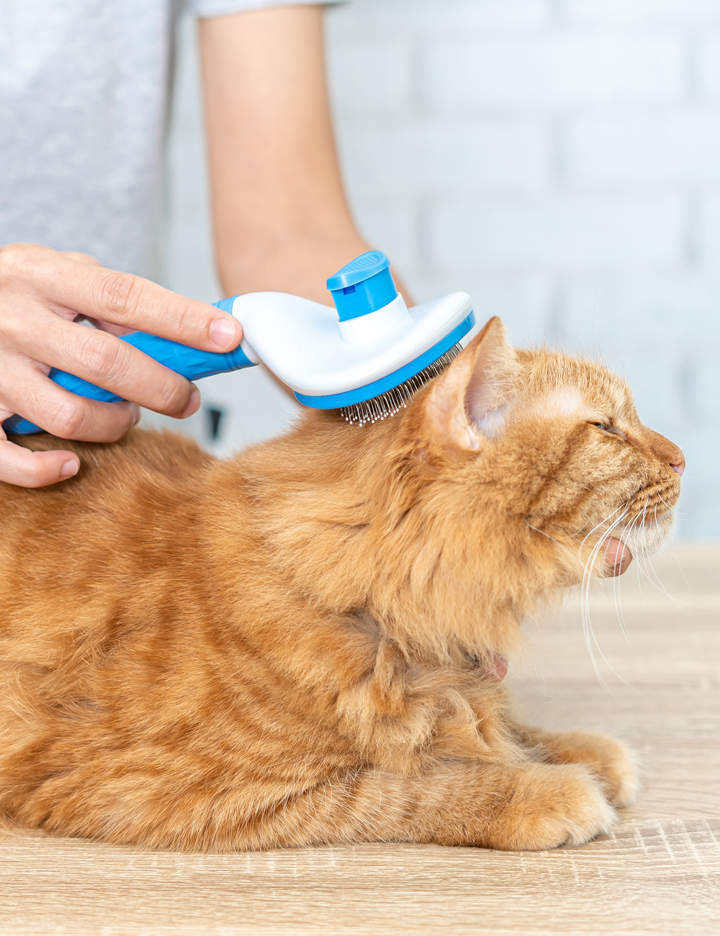 self-cleaning-pet-brush-hair-removal .png